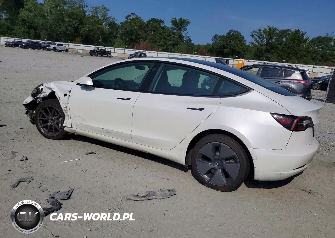 2021 Tesla Model 3 VIN:5YJ3E1EAXMF051289 - 2