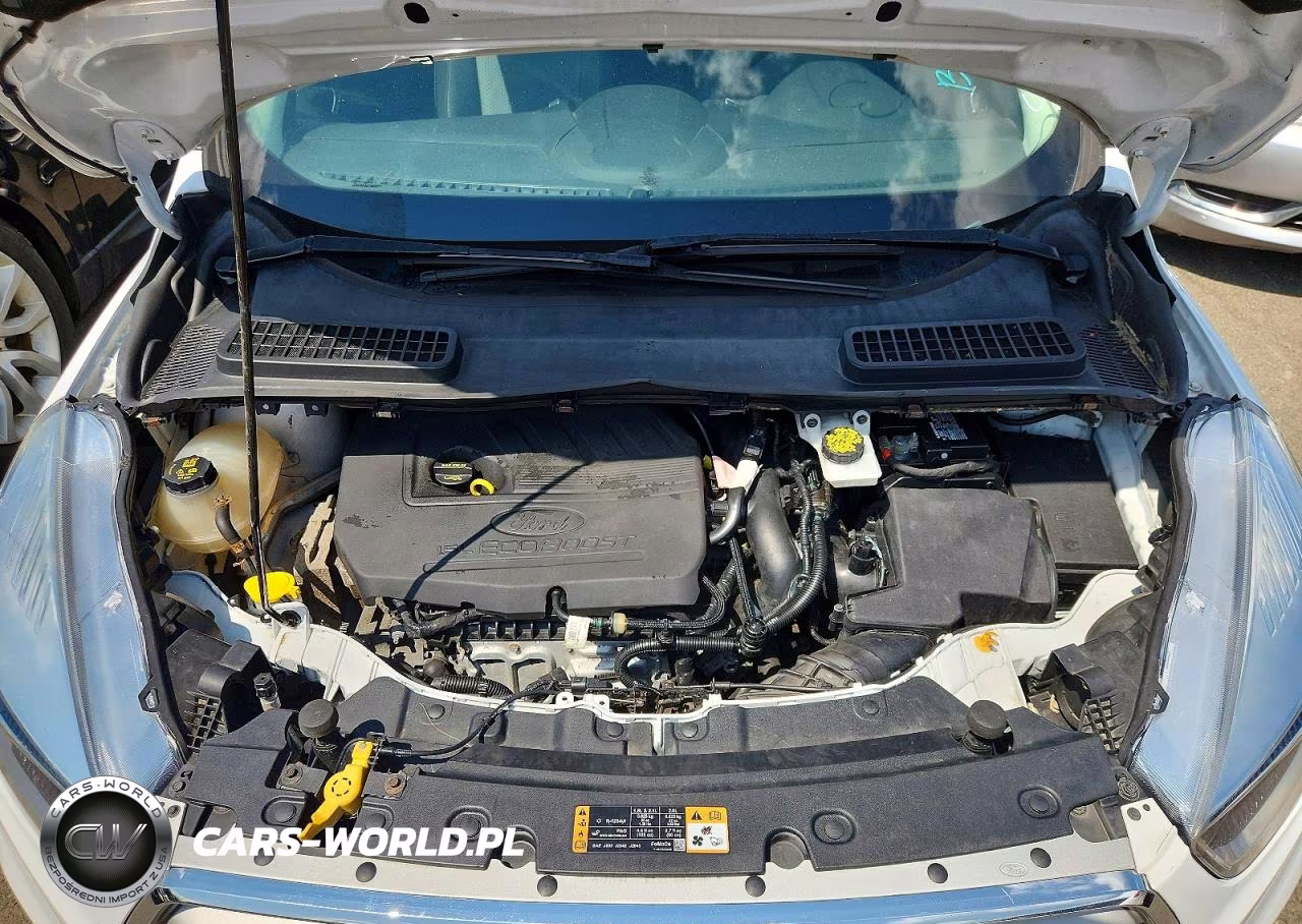 2018 Ford Escape Se VIN:1FMCU9GD7JUD06312 - 12
