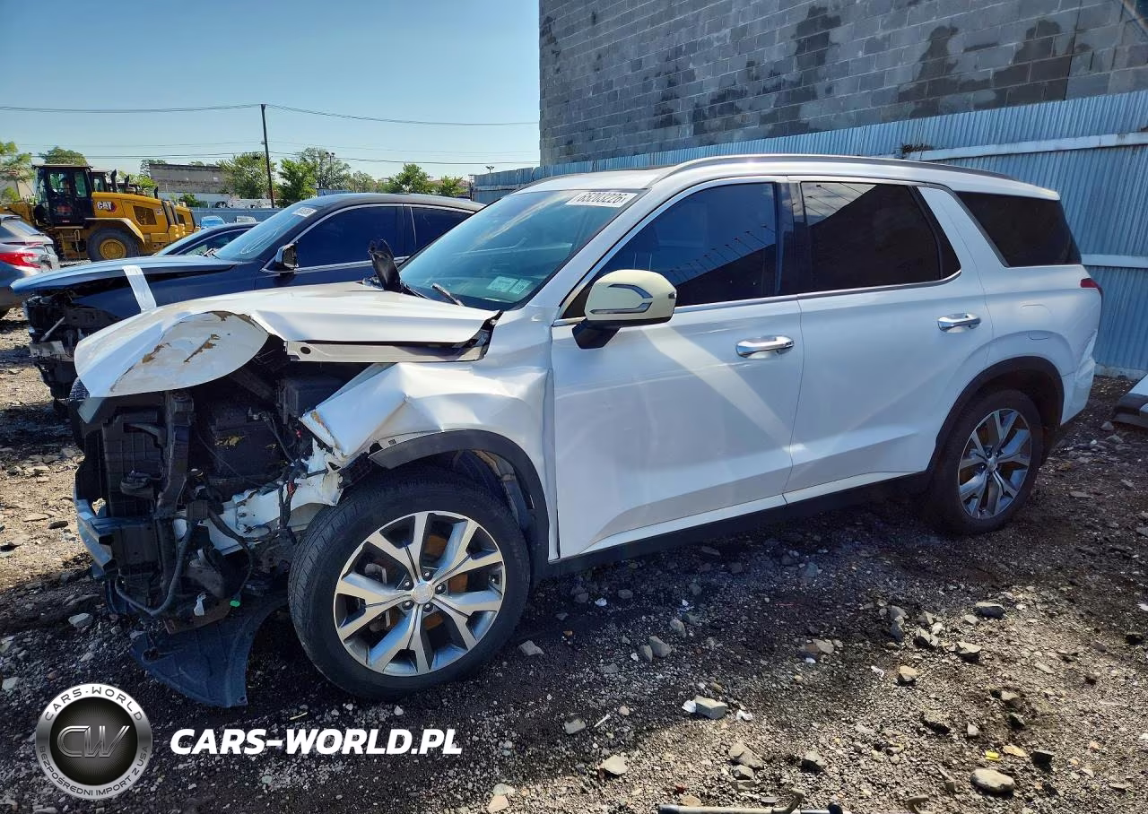 2020 Hyundai Palisade Sel VIN:KM8R4DHE5LU040232 - 1