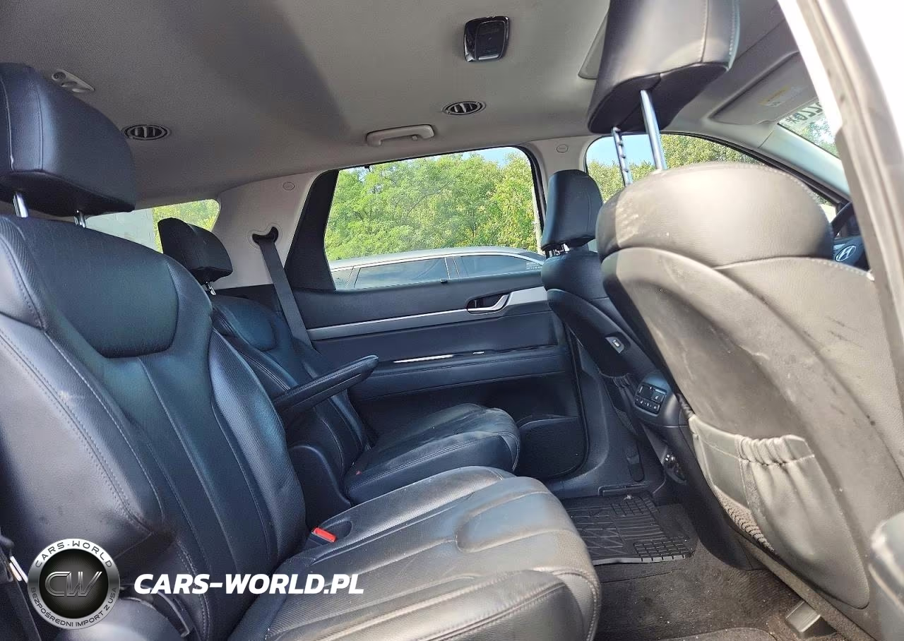 2020 Hyundai Palisade Sel VIN:KM8R4DHE5LU040232 - 11