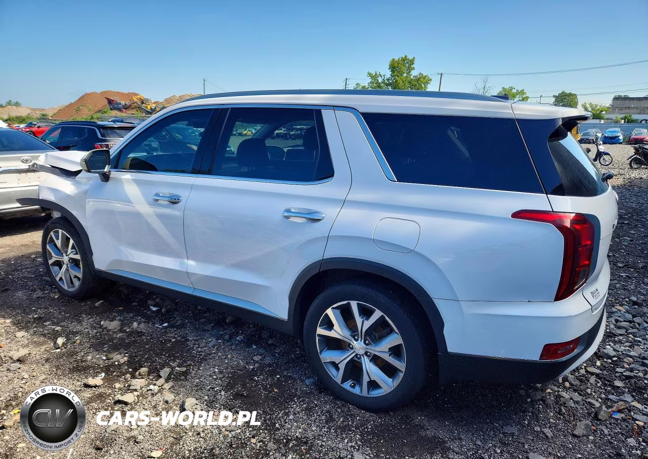2020 Hyundai Palisade Sel VIN:KM8R4DHE5LU040232 - 2