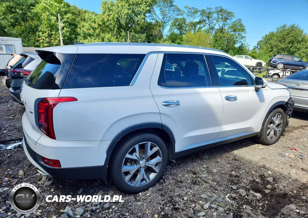 2020 Hyundai Palisade Sel VIN:KM8R4DHE5LU040232 - 3
