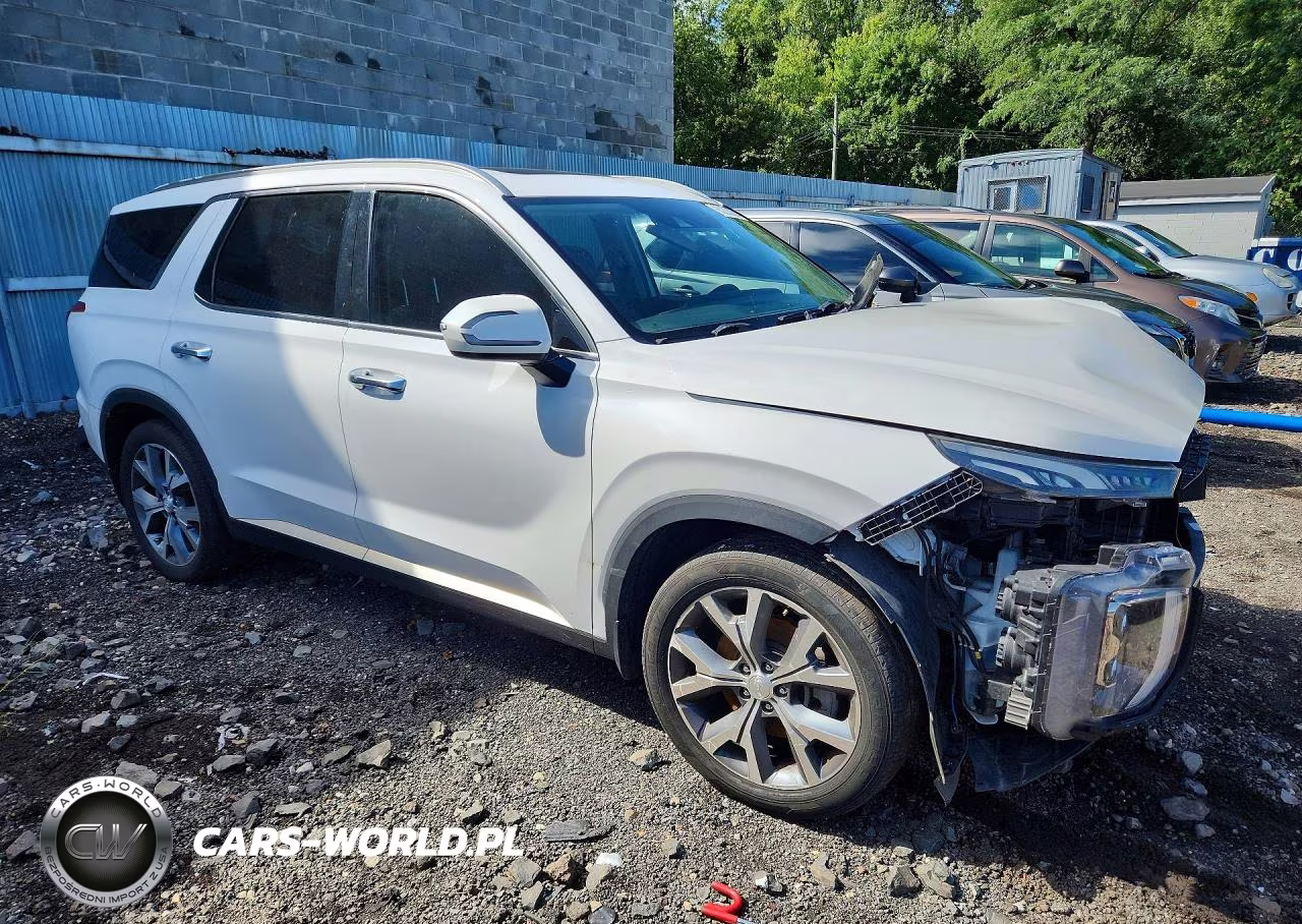 2020 Hyundai Palisade Sel VIN:KM8R4DHE5LU040232 - 4