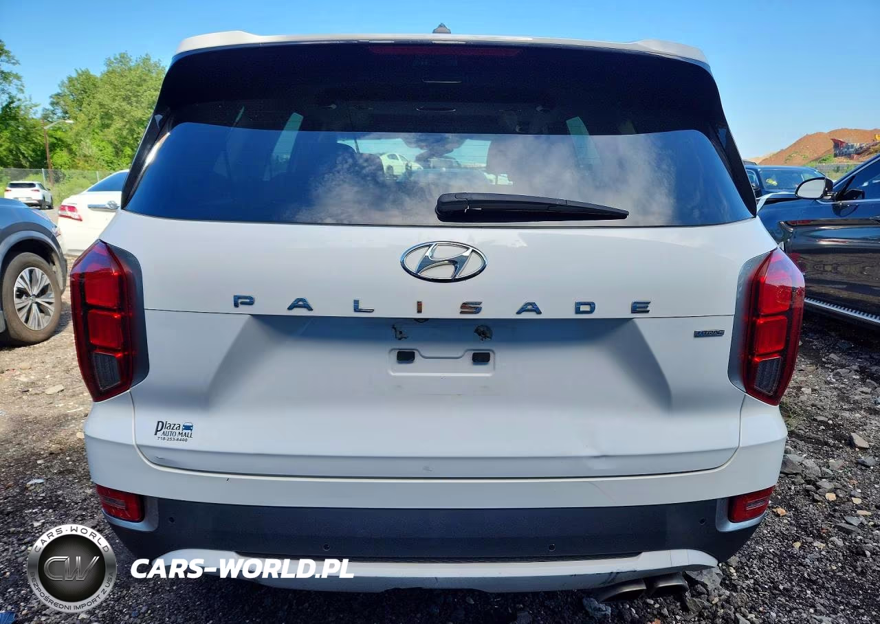 2020 Hyundai Palisade Sel VIN:KM8R4DHE5LU040232 - 6