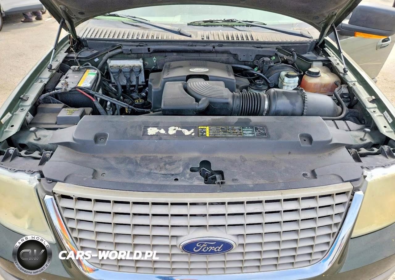2004 Ford Expedition Eddie Bauer VIN:1FMFU17L54LA81632 - 11