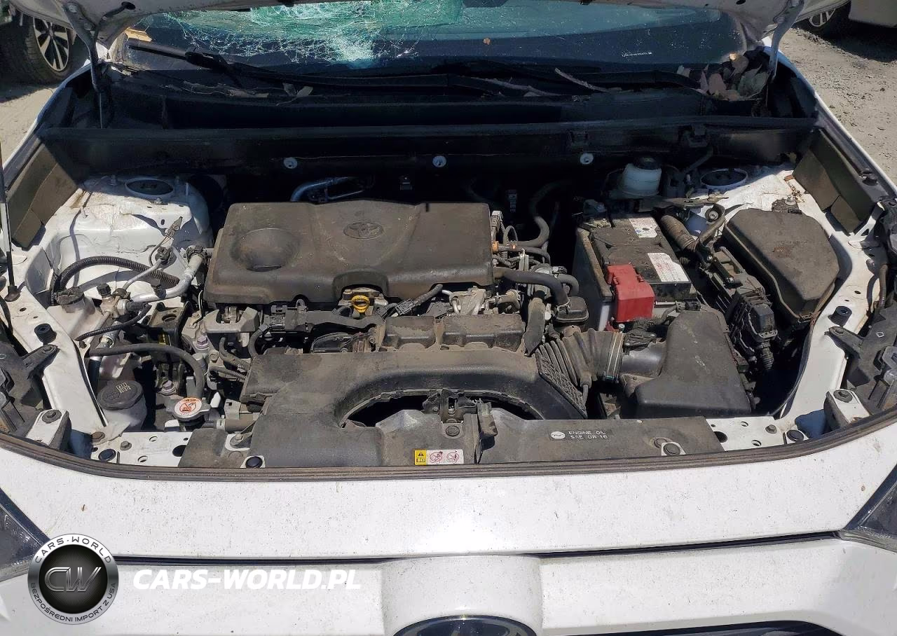 2019 Toyota Rav4 Le VIN:JTMF1RFV4KD044206 - 12