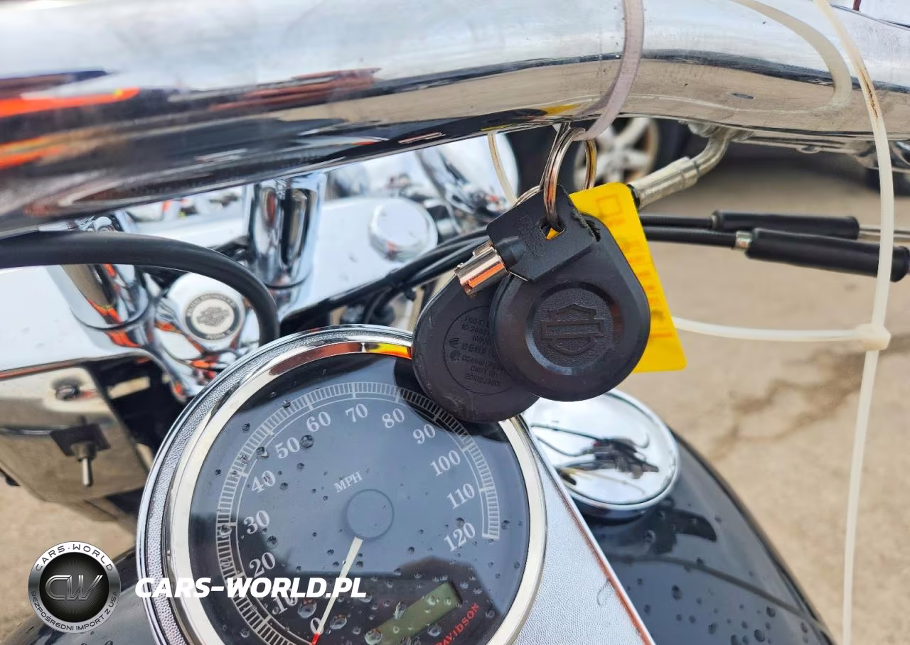 2013 Harley-Davidson Flstf Fatboy VIN:1HD1BXV19DB032205 - 8