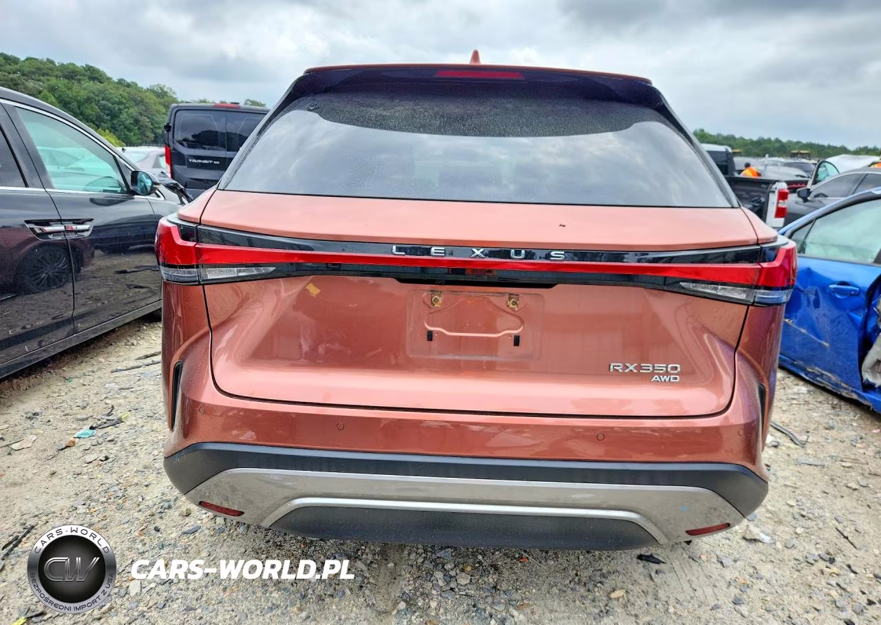 2023 Lexus Rx 350 Luxury VIN:2T2BAMCA0PC004837 - 6