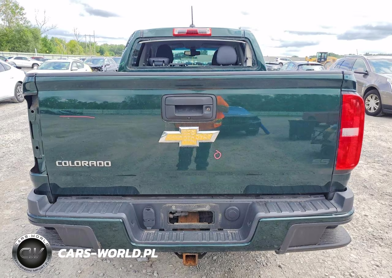 2016 Chevrolet Colorado Z71 VIN:1GCGTDE38G1253605 - 6