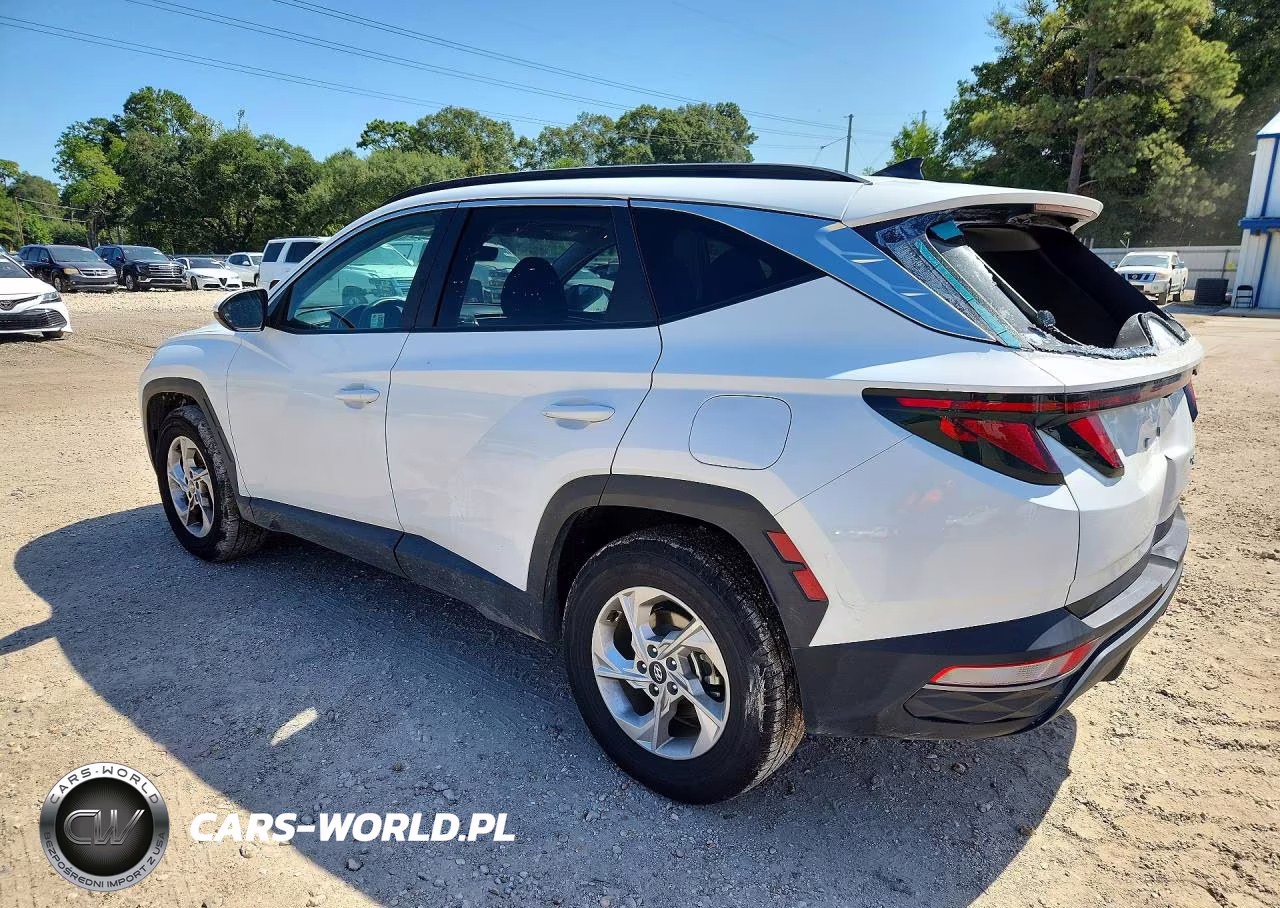 2024 Hyundai Tucson Sel VIN:5NMJBCDE0RH397129 - 2