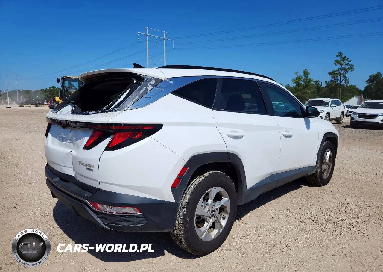 2024 Hyundai Tucson Sel VIN:5NMJBCDE0RH397129 - 3
