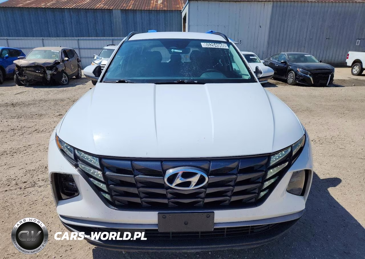 2024 Hyundai Tucson Sel VIN:5NMJBCDE0RH397129 - 5