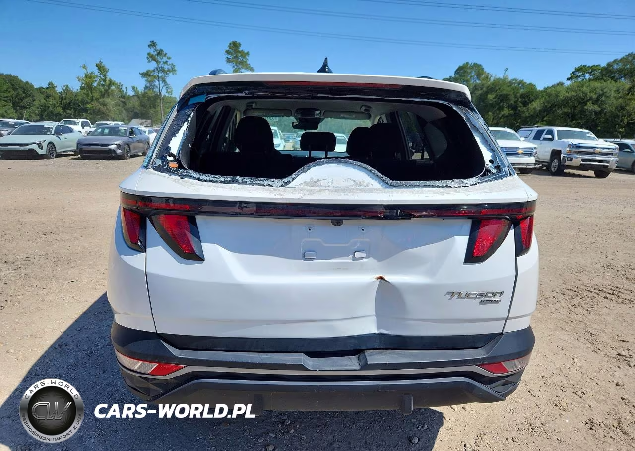 2024 Hyundai Tucson Sel VIN:5NMJBCDE0RH397129 - 6