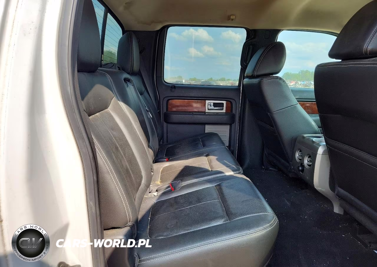 2010 Ford F150 Supercrew VIN:1FTFW1EV6AFB08351 - 10