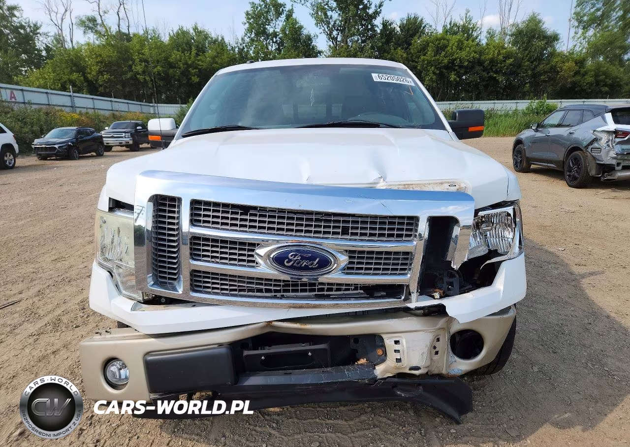 2010 Ford F150 Supercrew VIN:1FTFW1EV6AFB08351 - 5