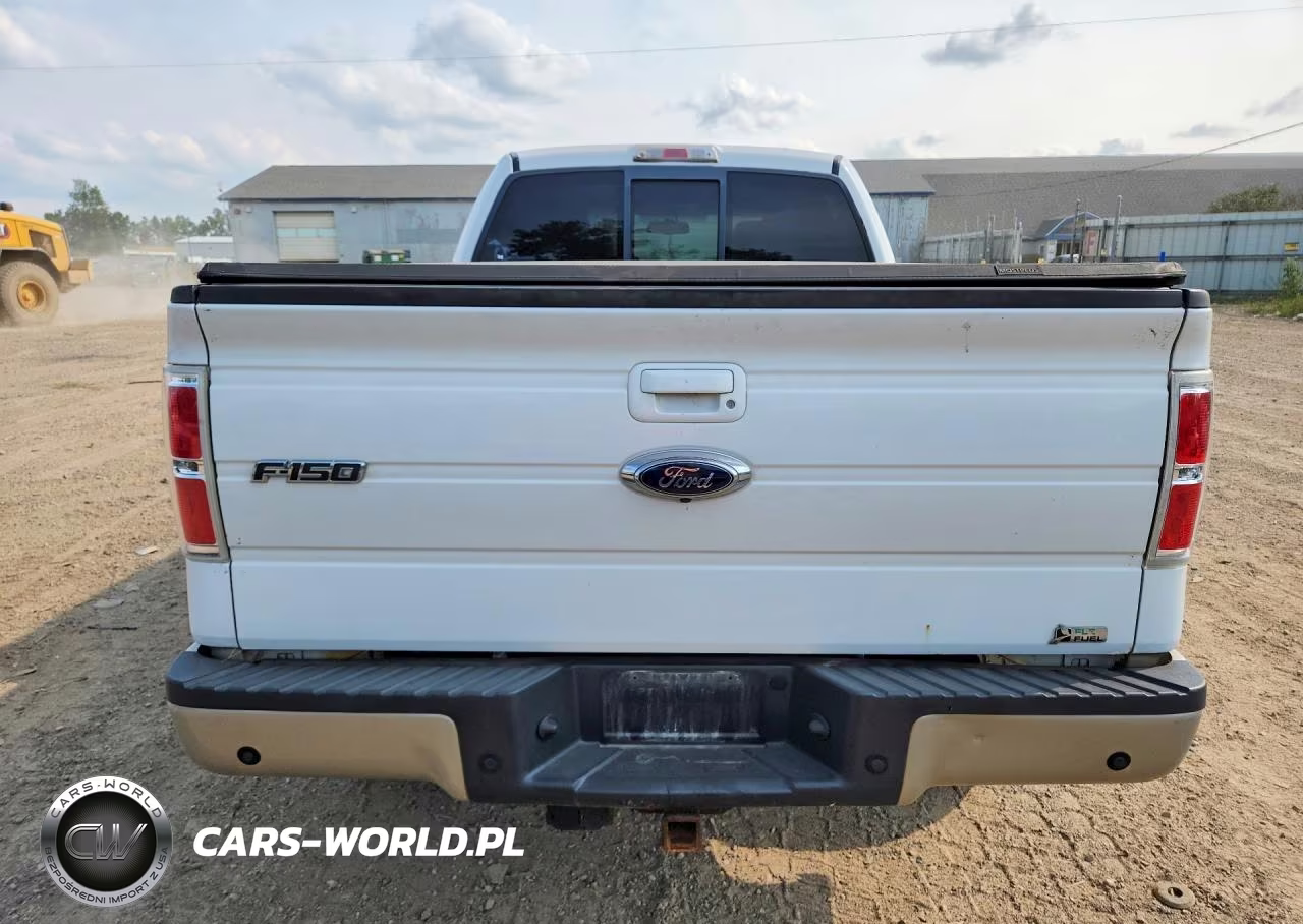 2010 Ford F150 Supercrew VIN:1FTFW1EV6AFB08351 - 6