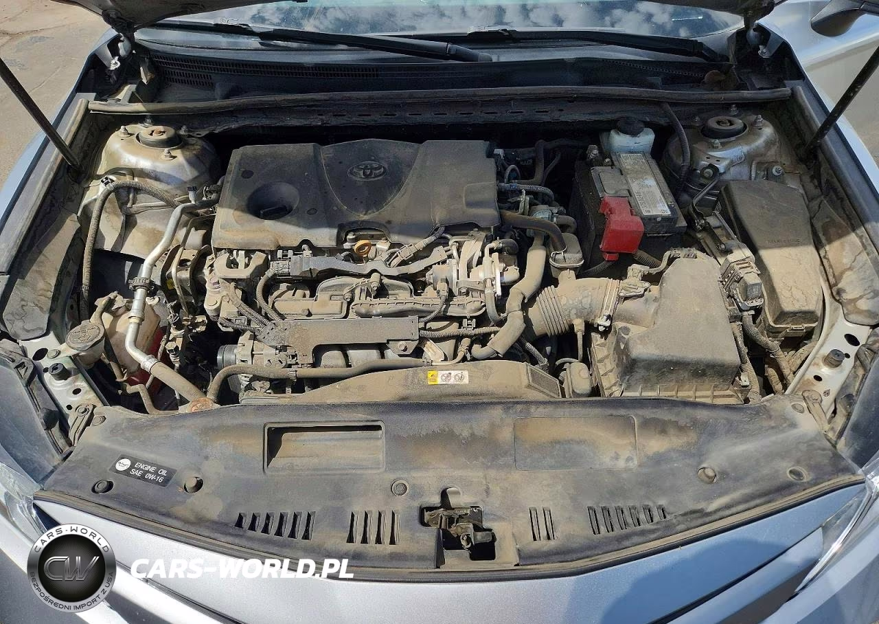 2020 Toyota Camry Le VIN:4T1C11AK0LU925371 - 11