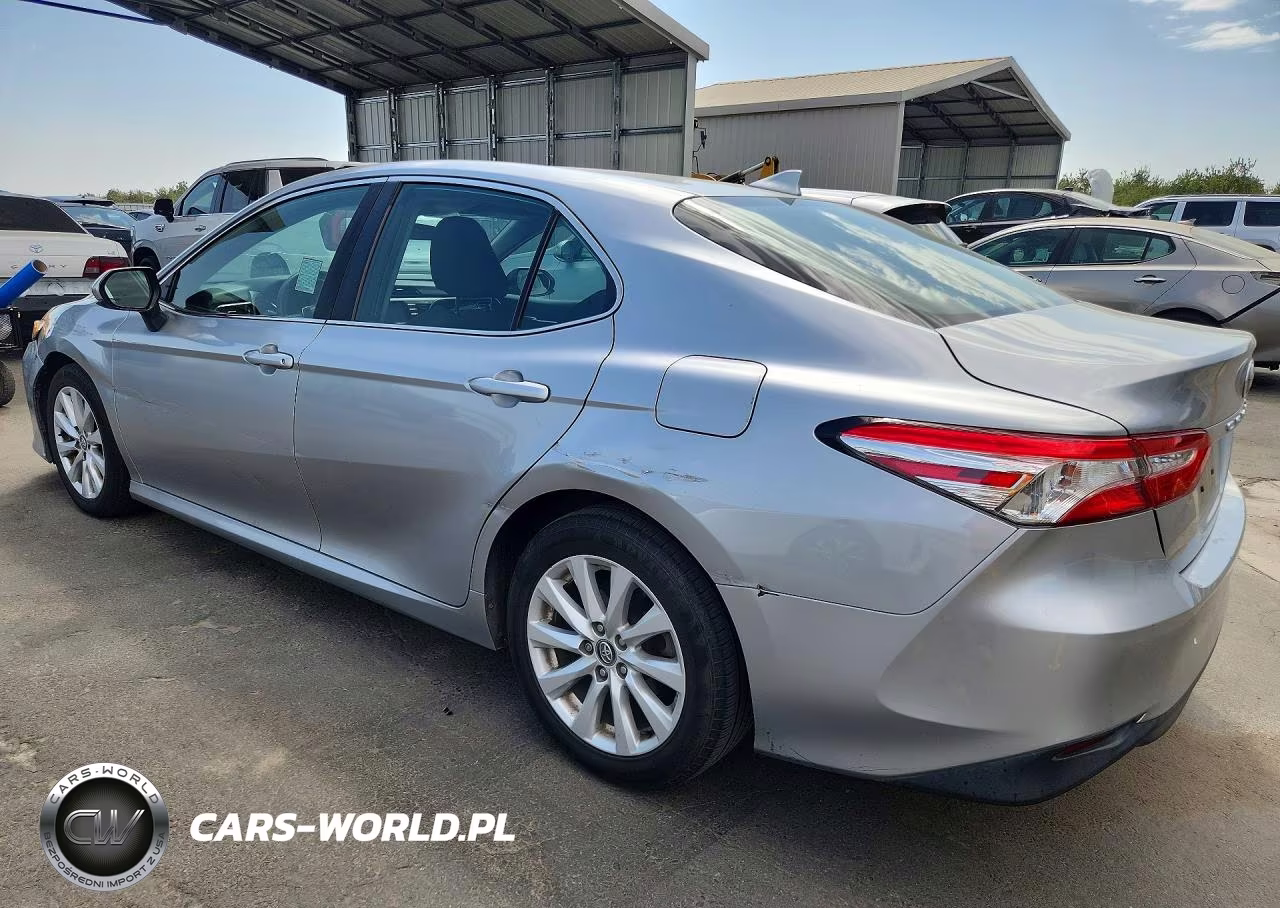 2020 Toyota Camry Le VIN:4T1C11AK0LU925371 - 2