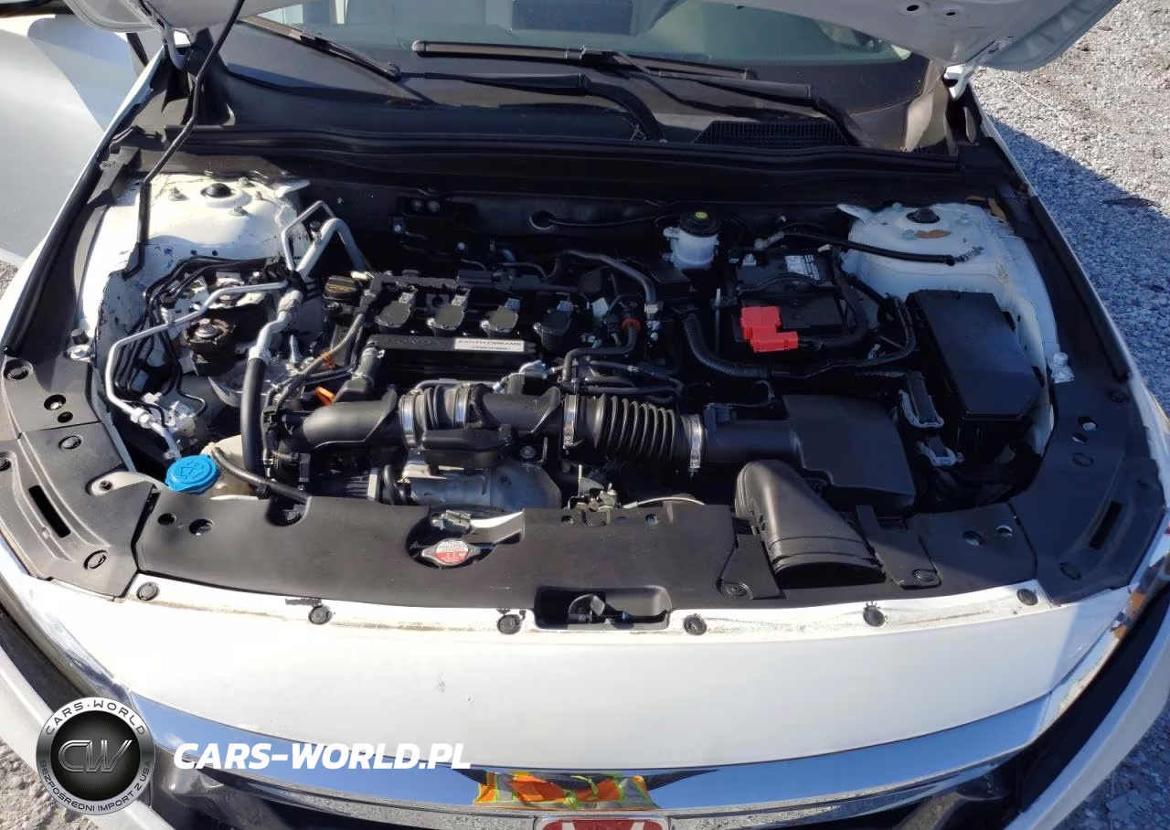 2019 Honda Accord Lx VIN:1HGCV1F19KA143032 - 11