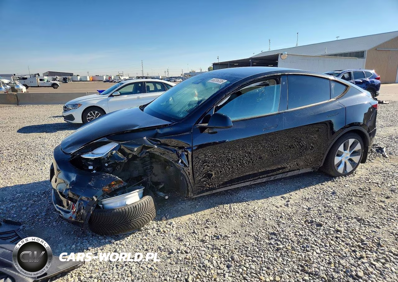 2020 Tesla Model Y