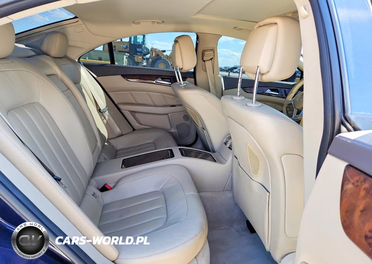 2014 Mercedes-Benz Cls 550 4Matic VIN:WDDLJ9BB8EA111593 - 10