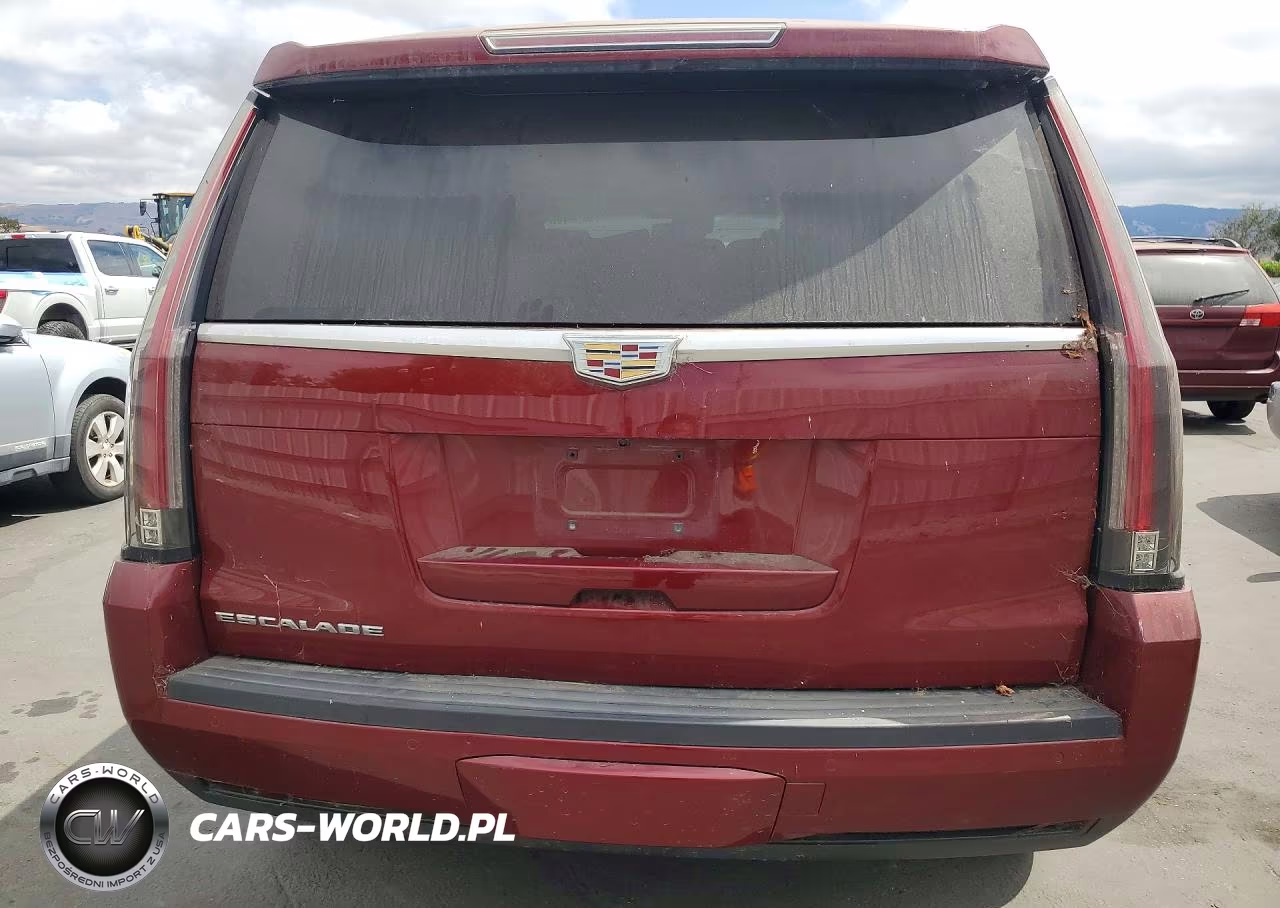 2016 Cadillac Escalade Luxury VIN:1GYS4BKJ1GR478751 - 6