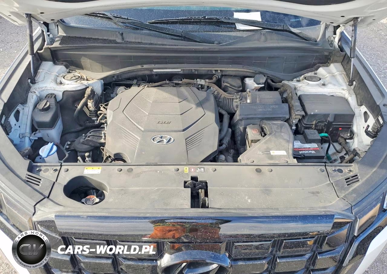 2023 Hyundai Palisade Sel Premium VIN:KM8R4DGE6PU609886 - 12