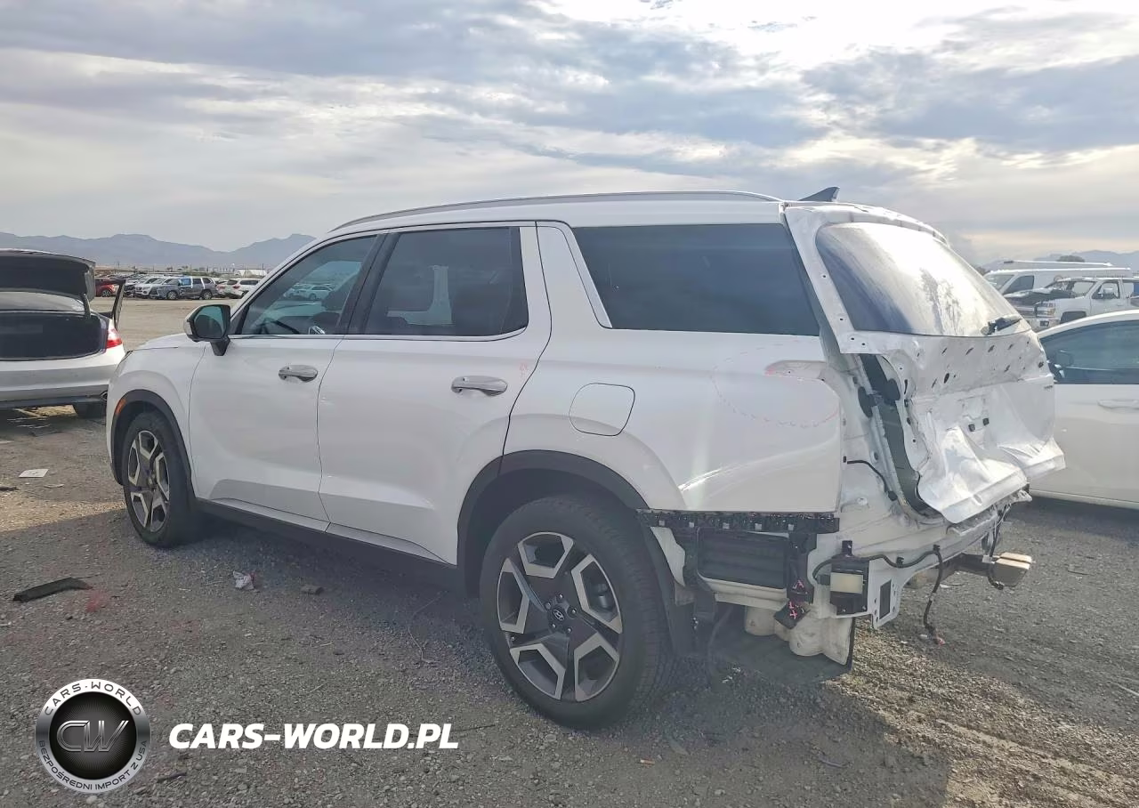 2023 Hyundai Palisade Sel Premium VIN:KM8R4DGE6PU609886 - 2