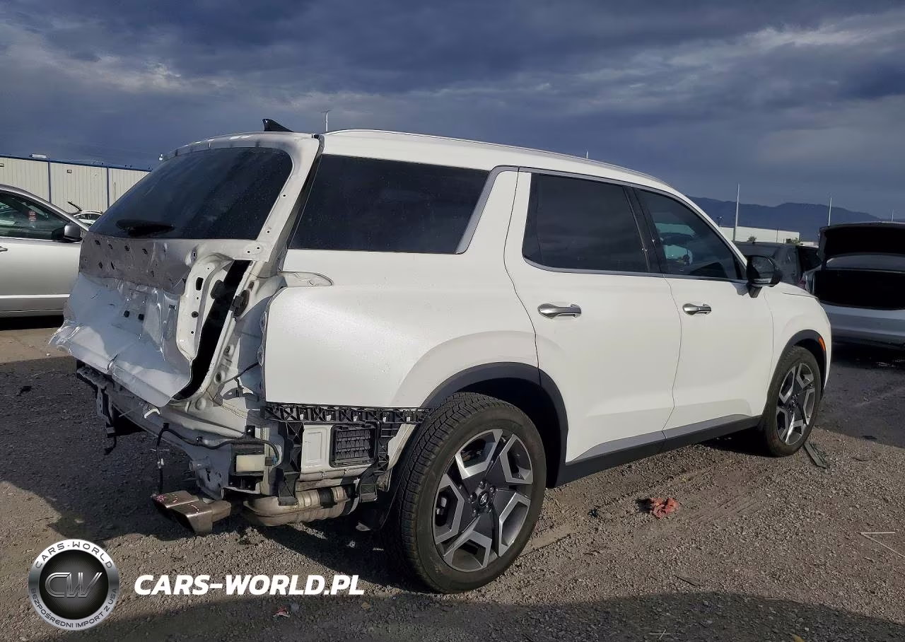 2023 Hyundai Palisade Sel Premium VIN:KM8R4DGE6PU609886 - 3