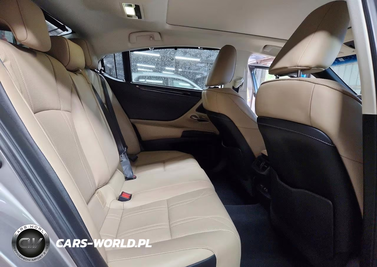 2020 Lexus Es 350 Ultra Luxury VIN:58AFZ1B18LU063988 - 10