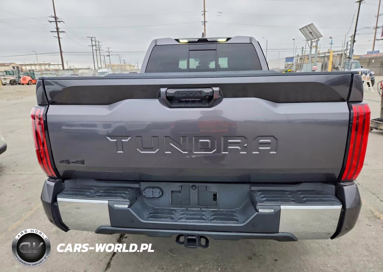 2022 Toyota Tundra Sr5 VIN:5TFLA5DA4NX038209 - 6