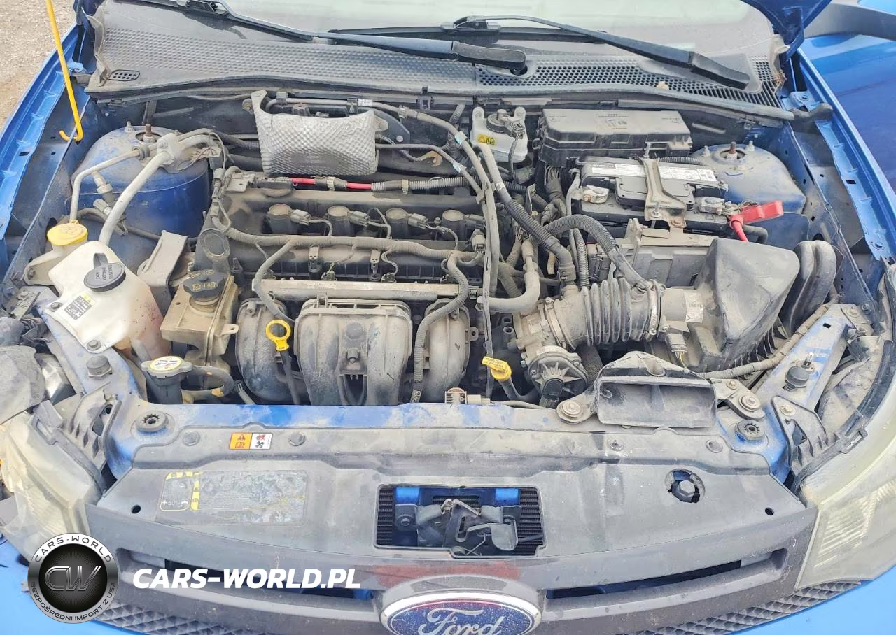 2010 Ford Focus Ses VIN:1FAHP3GN5AW186236 - 11