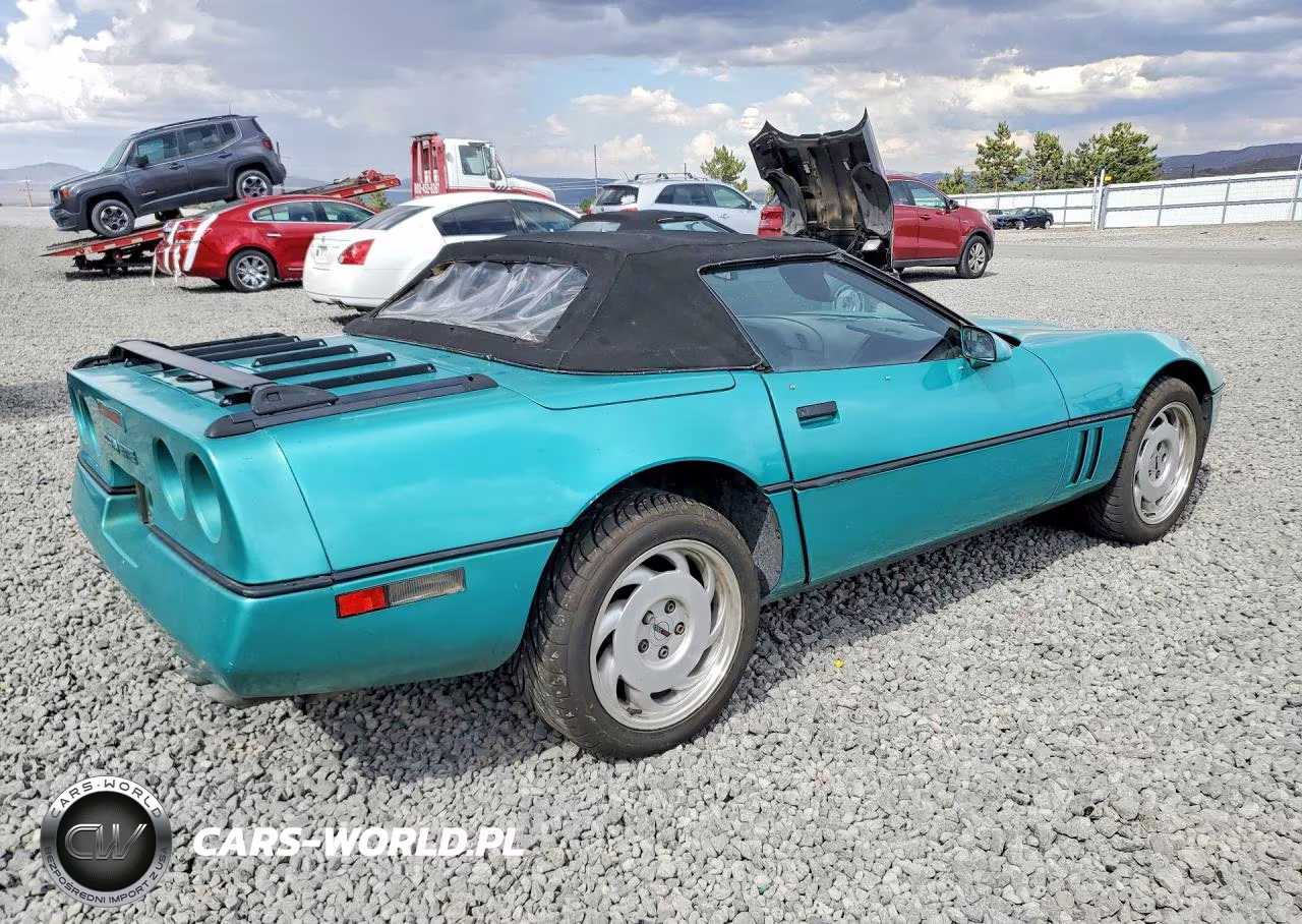 1990 Chevrolet Corvette VIN:1G1YY3388L5115718 - 3