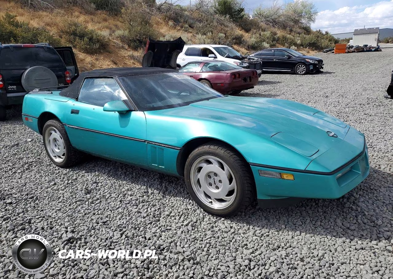 1990 Chevrolet Corvette VIN:1G1YY3388L5115718 - 4