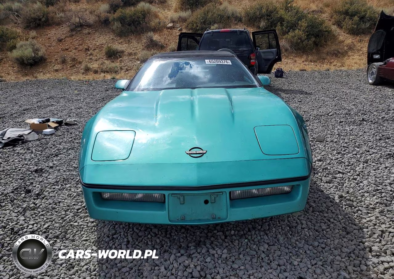 1990 Chevrolet Corvette VIN:1G1YY3388L5115718 - 5