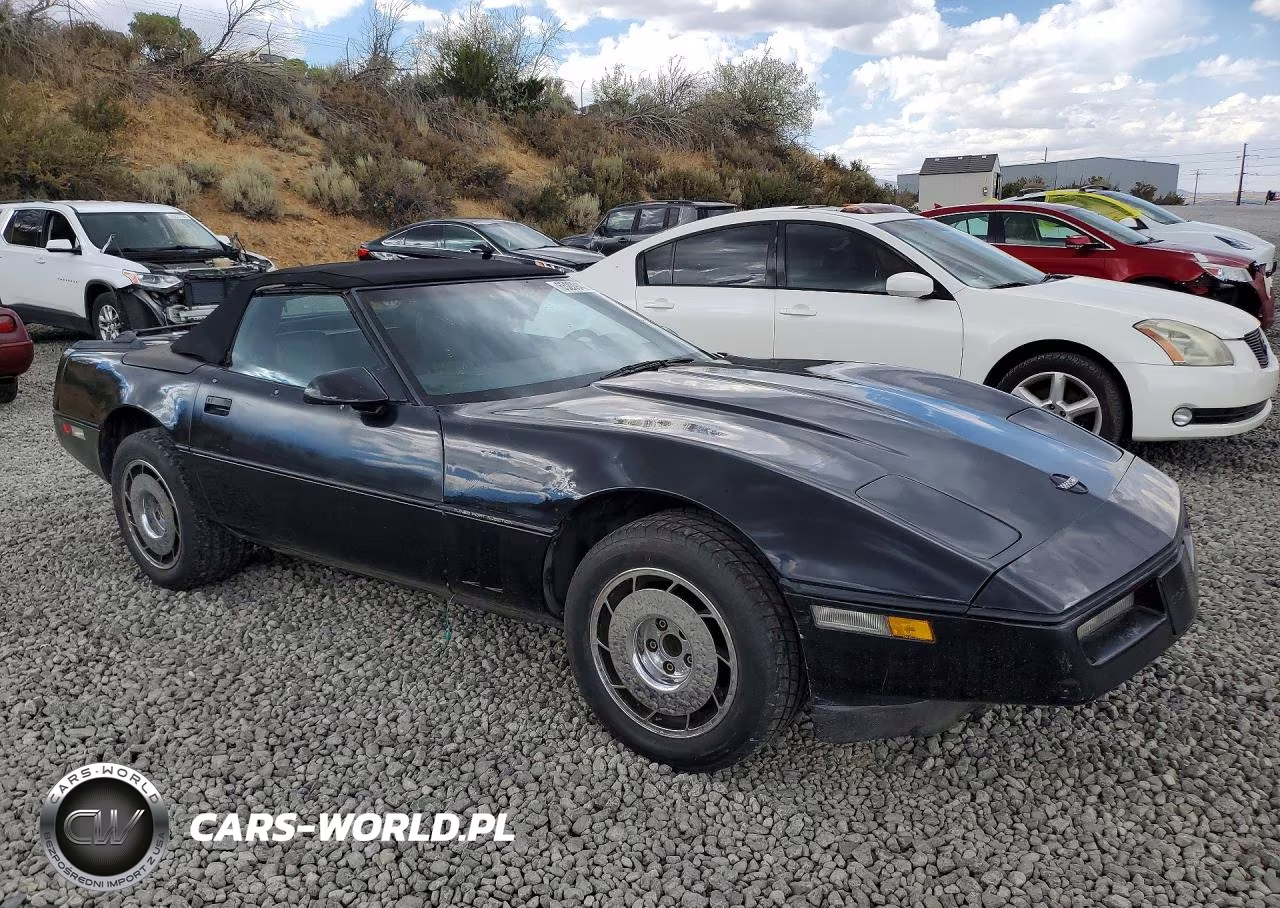 1986 Chevrolet Corvette VIN:1G1YY6780G5902275 - 4