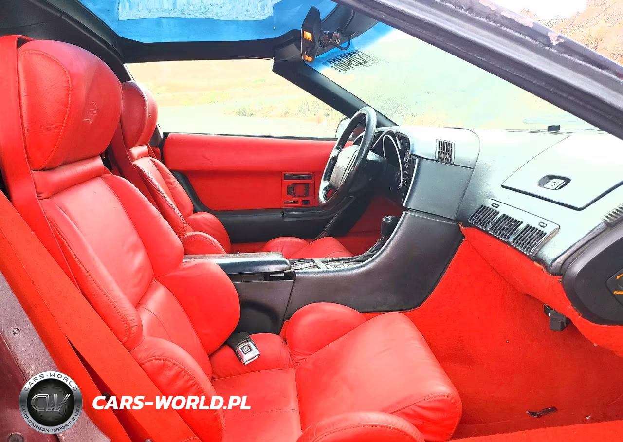 1993 Chevrolet Corvette VIN:1G1YY23P1P5111789 - 10