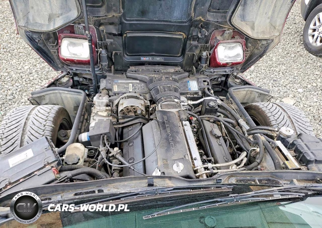 1993 Chevrolet Corvette VIN:1G1YY23P1P5111789 - 11