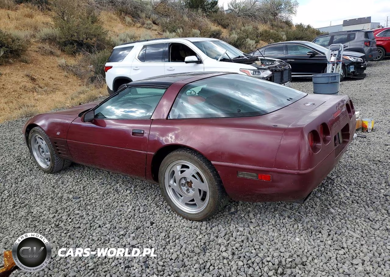 1993 Chevrolet Corvette VIN:1G1YY23P1P5111789 - 2