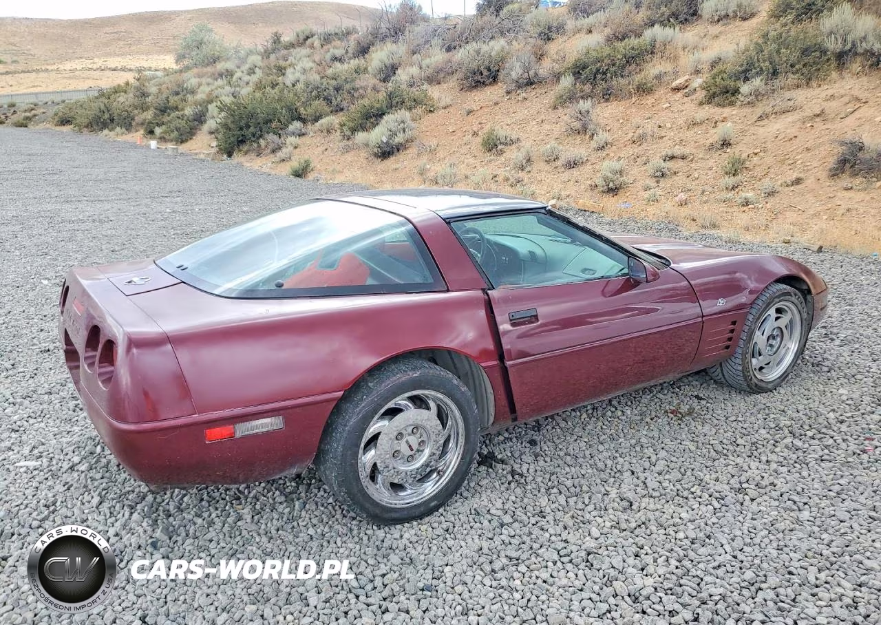 1993 Chevrolet Corvette VIN:1G1YY23P1P5111789 - 3