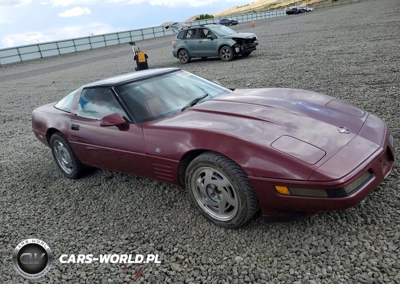 1993 Chevrolet Corvette VIN:1G1YY23P1P5111789 - 4