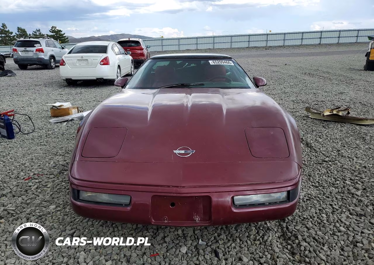 1993 Chevrolet Corvette VIN:1G1YY23P1P5111789 - 5