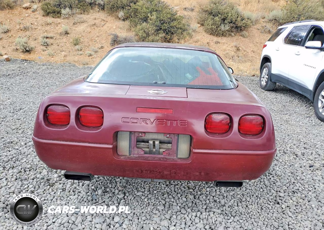 1993 Chevrolet Corvette VIN:1G1YY23P1P5111789 - 6