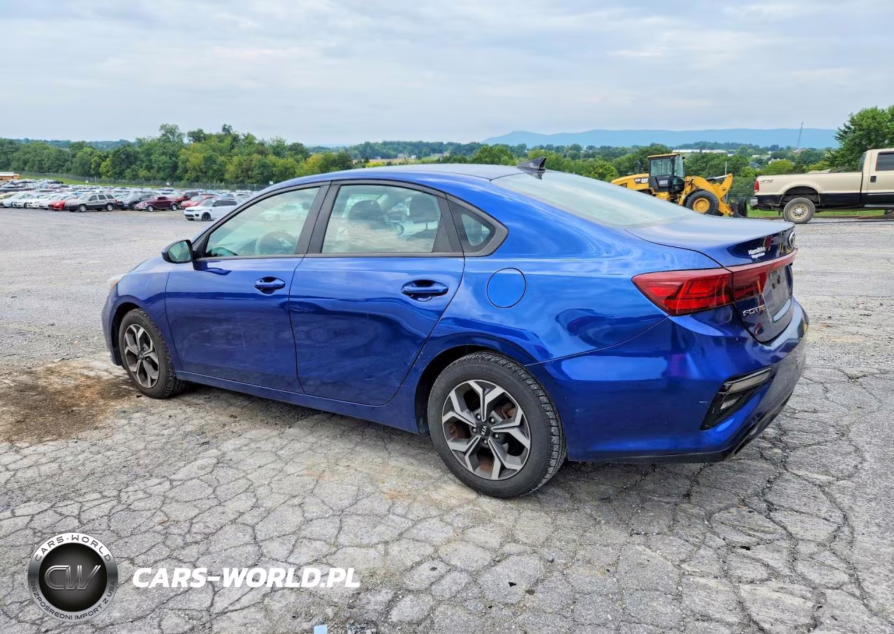 2019 Kia Forte Lxs VIN:3KPF24AD1KE029725 - 2