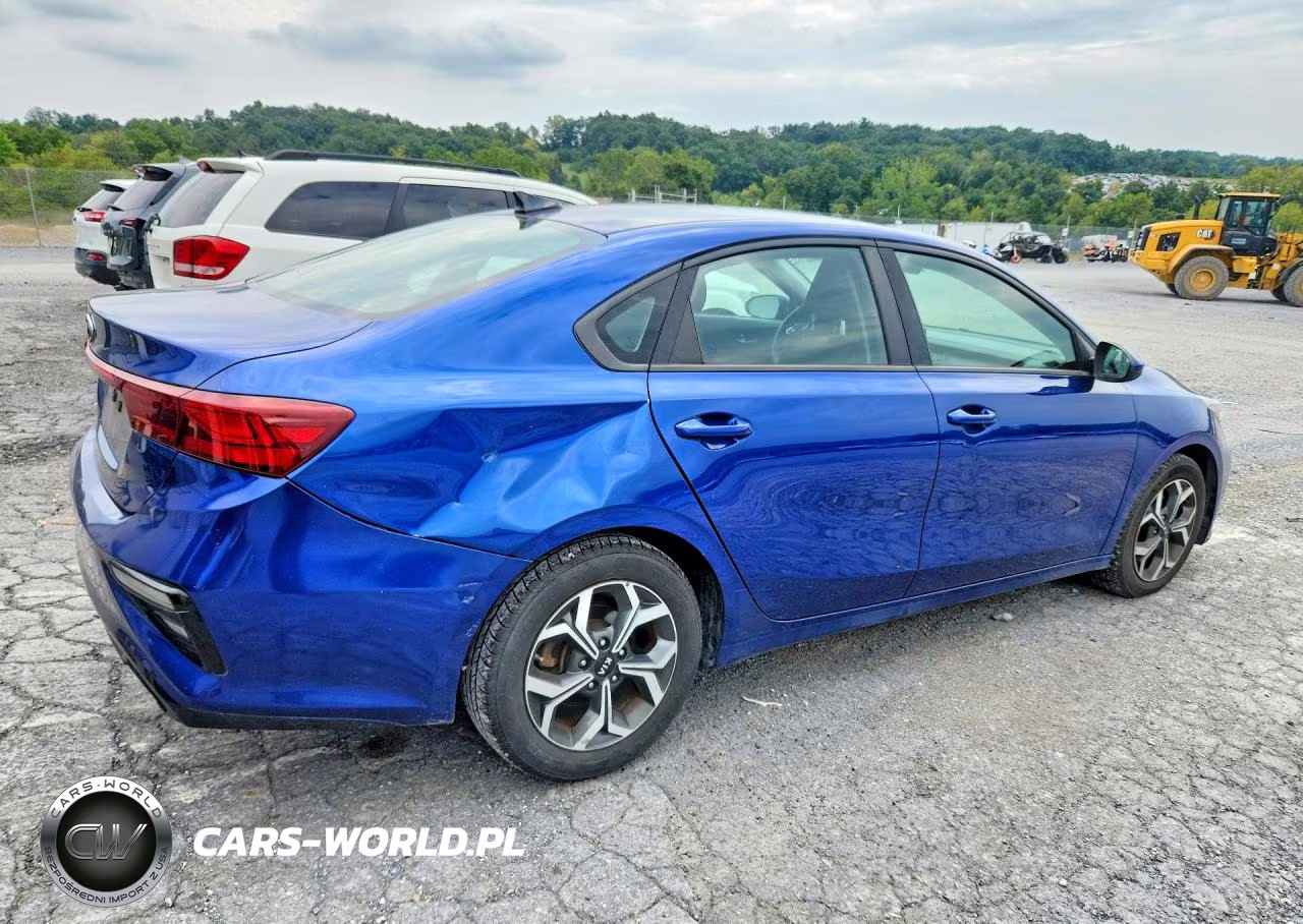 2019 Kia Forte Lxs VIN:3KPF24AD1KE029725 - 3