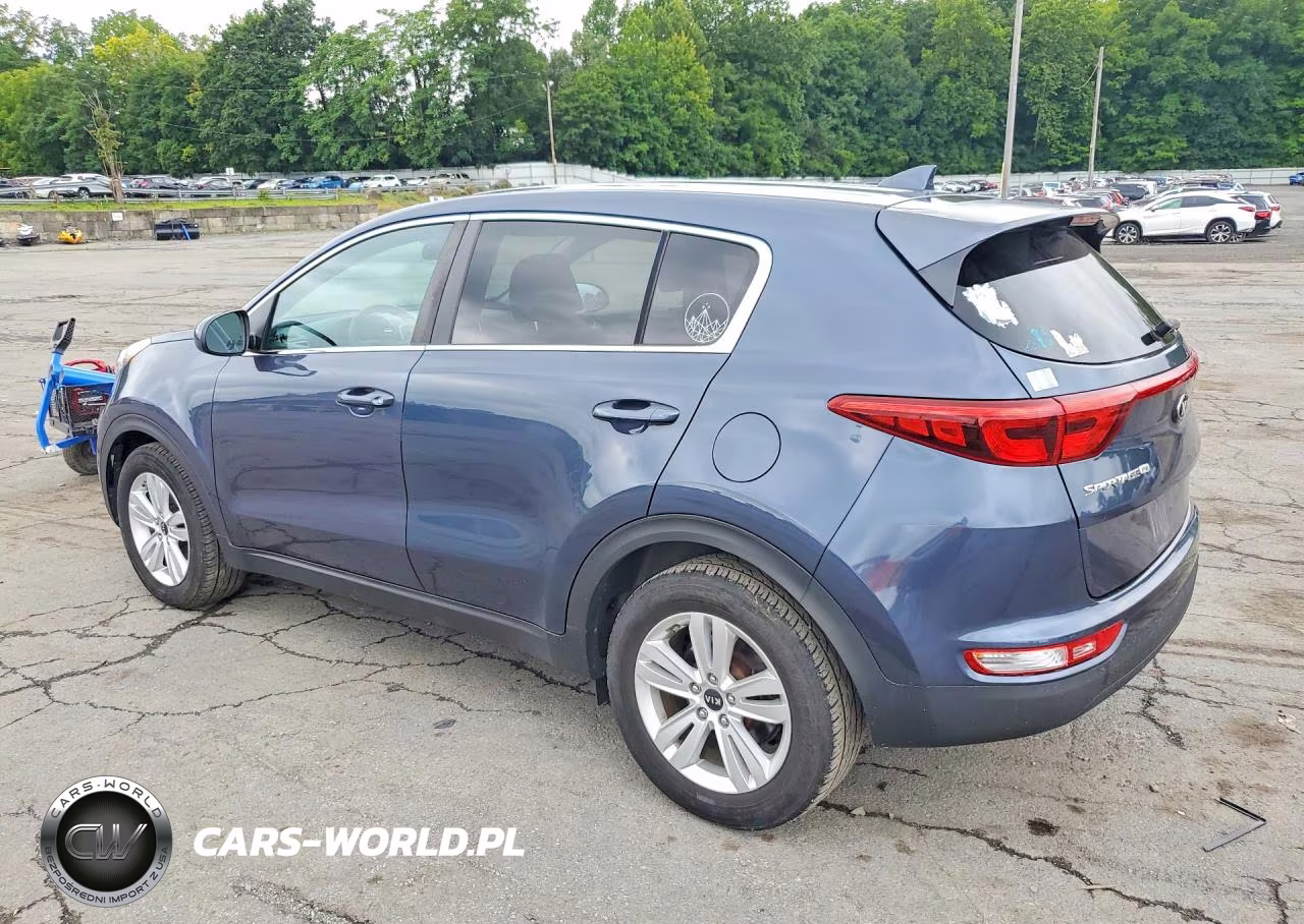 2019 Kia Sportage Lx VIN:KNDPM3AC8K7503105 - 2
