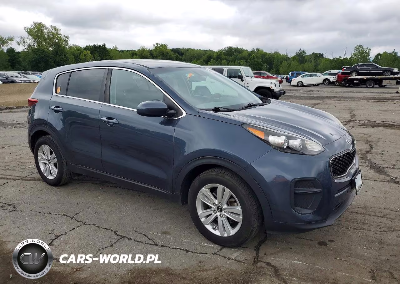 2019 Kia Sportage Lx VIN:KNDPM3AC8K7503105 - 4