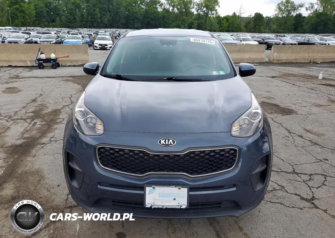 2019 Kia Sportage Lx VIN:KNDPM3AC8K7503105 - 5