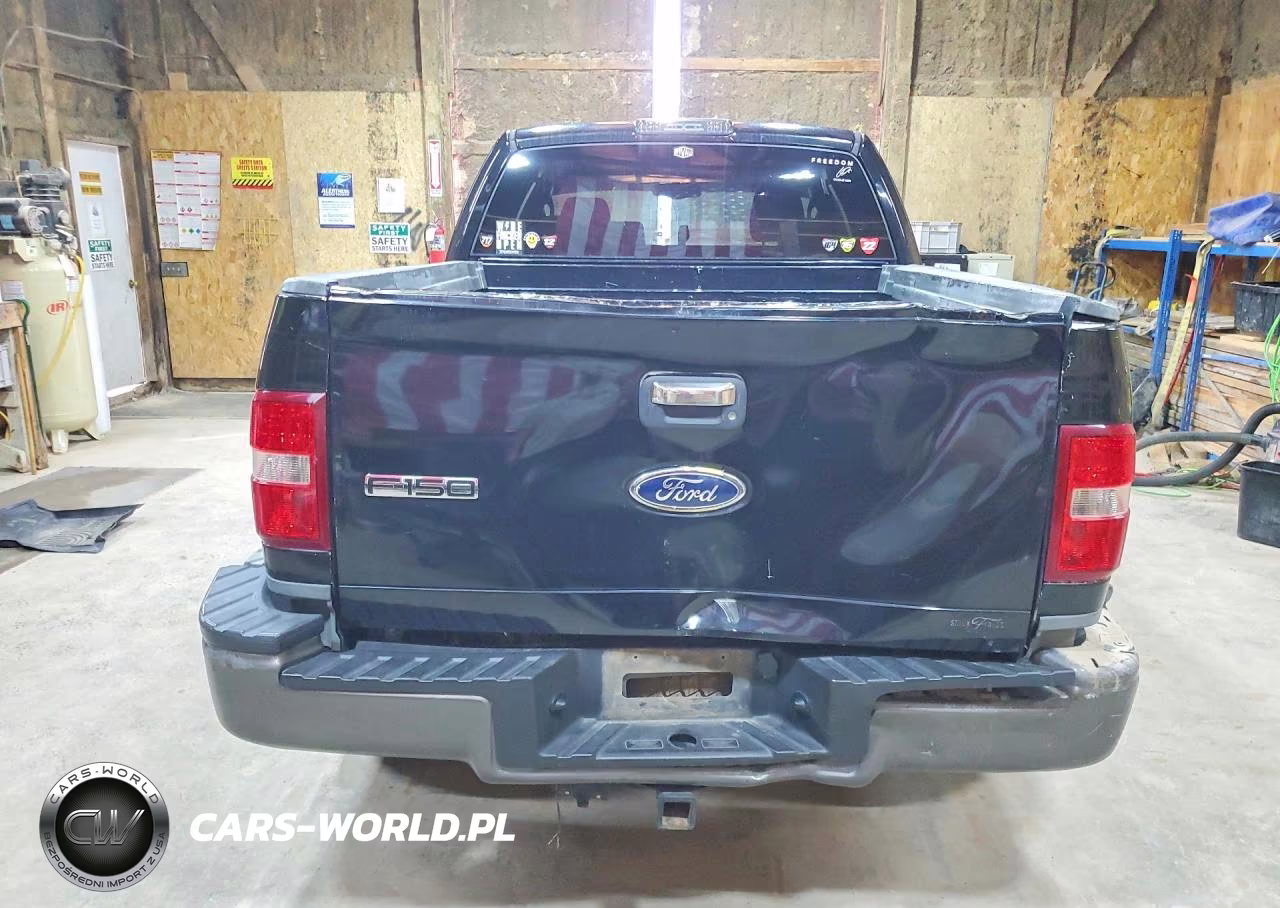 2004 Ford F150 VIN:1FTPX04584KD24453 - 6