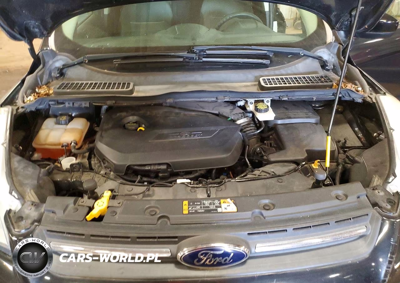 2014 Ford Escape Se VIN:1FMCU9GX8EUD89720 - 12